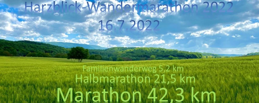 Werbung Marathon Südharz