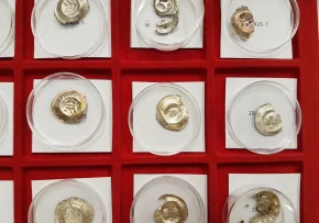 Münzen gereinigt | Foto: Foto: EKM
