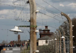 Buchenwald  | Foto: Foto: epd bild/ Maik Schuck