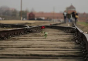 Auschwitz | Foto: Foto: Albert Laurence/ unsplash