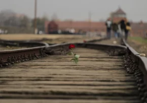 KZ Auschwitz | Foto: unsplash