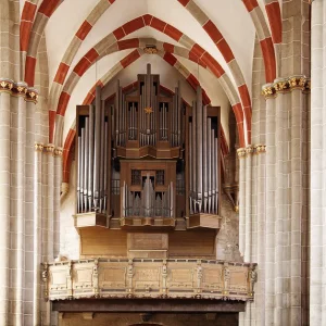 Divi Blasii-Orgel  Foto: Oliver Stechbart