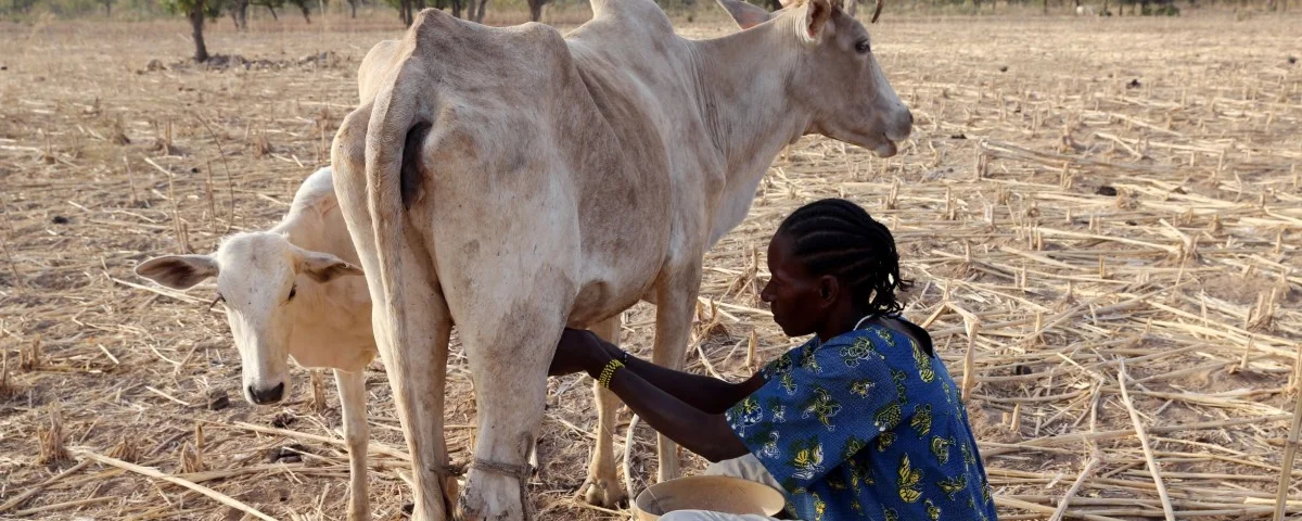 Milchbäuerin Burkina Faso