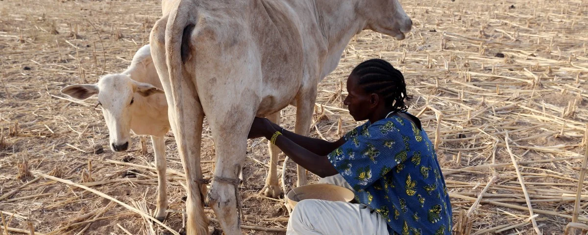 Milchbäuerin Burkina Faso 