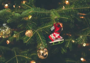 Weihnachtsbaum | Foto: Foto: pexels-craig-adderley-1671881