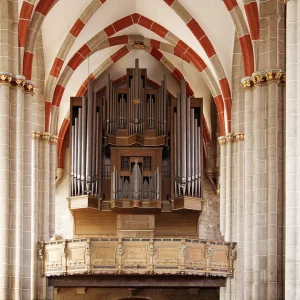 Divi Blasii-Orgel  Foto: ekmhl