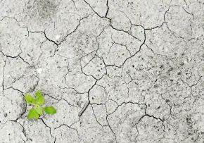 Dürre | Foto: Foto: pixabay_climate-change-g4da9f9f49 1920
